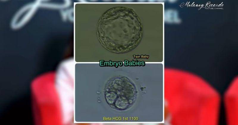 Youtube.com/Melaney Ricardo